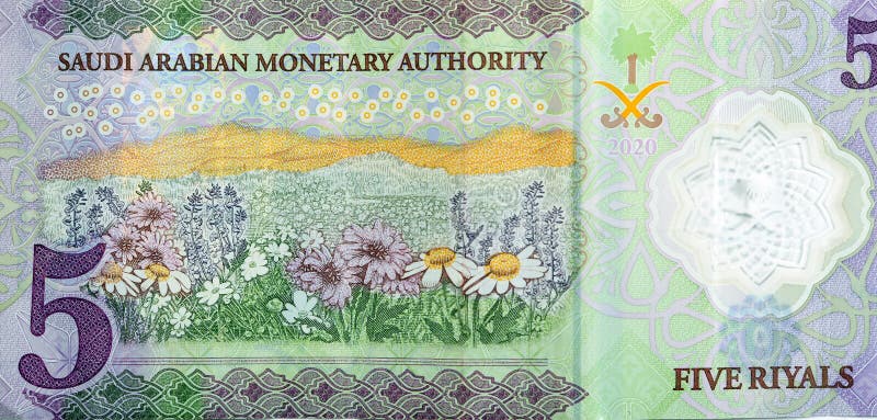 Ett stort fragment av den nya polymerens baksida 5 sar fem saudi arabia riyals cash money-senote bill series 1441 ah 2020 arkivbild