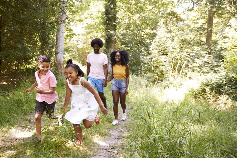 Ett svart par och deras två ungar som går i en skog arkivbild Ett svart par och deras två ungar som går i en skog arkivbild