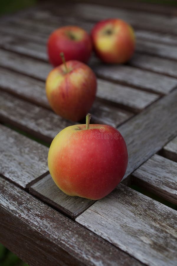 4 beautiful juicy red apples in a wooden outside rustic setting. 4 beautiful juicy red apples in a wooden outside rustic setting.