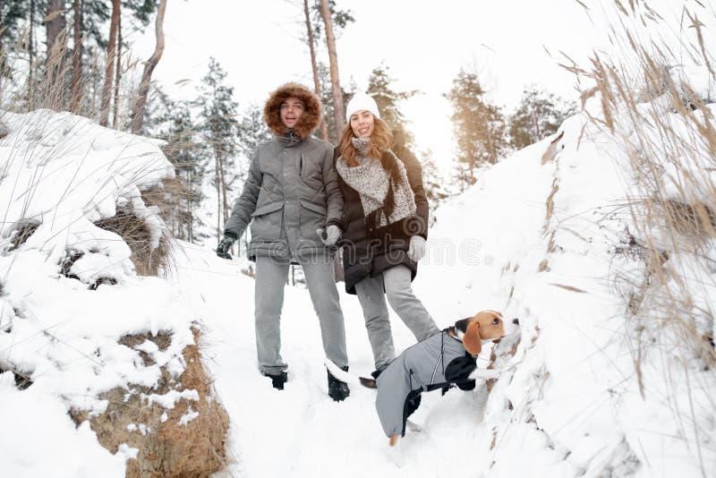 Ett ungt par, en man och en kvinna går med deras hund i vintern snö-täckte skogvinterfritiden Hundvänner royaltyfri bild Ett ungt par, en man och en kvinna går med deras hund i vintern snö-täckte skogvinterfritiden Hundvänner royaltyfri bild