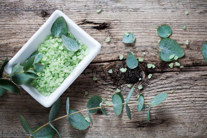 Eucalyptus Branc Stock Photos Free & RoyaltyFree Stock Photos from