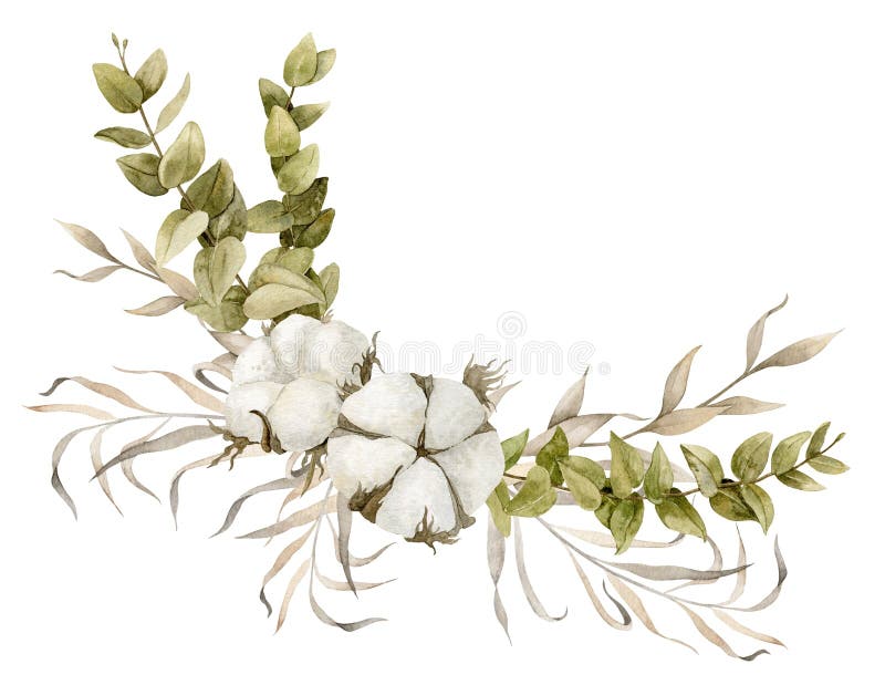Dried Plants Isolated Stock Illustration - Download Image Now