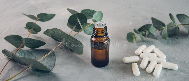 Eucalyptus Essential Oil and Fresh Leaves, White Capsules Pills on the ...