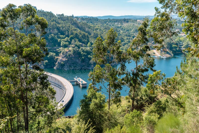 Eucalyptus trees in the hill and wild vegetation with aerial view to Cabril dam and ZÃªzere river, PedrogÃ£o Pequeno -SertÃ£ PORTU