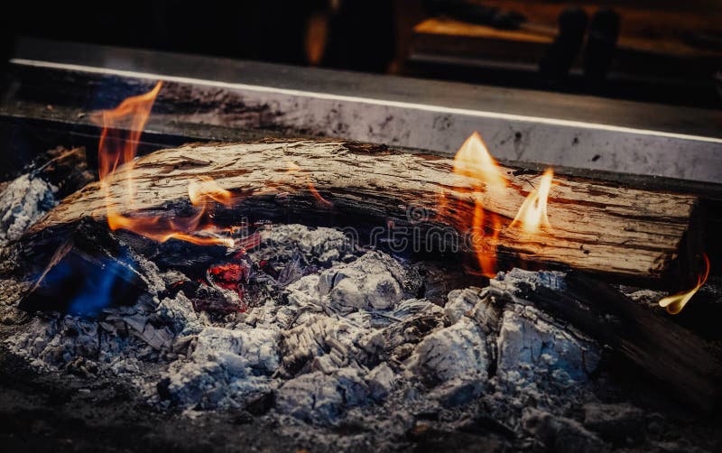 Eucalyptus Trunk Burning on the Grill Stock Image Image of burn, burning 264789067