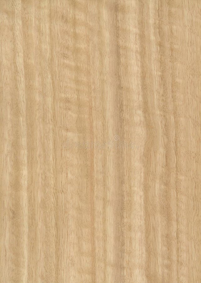 Eucalyptus Wood Veneer Texture Stock Photo - Image of 