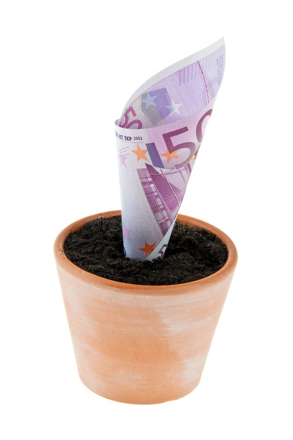 Euro-note in flower pot. Interest rates, growth.