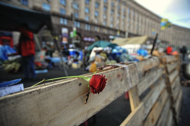 Euromaidan Rewolucja wolność zdjęcia stock