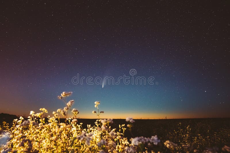 Europa 18 de julio de 2020 Cometa Neowise C 2020 F3 En Starry Sky Nocturno Sobre El Campo Agrícola De Trigo De Alforja Noche foto de archivo Europa 18 de julio de 2020 Cometa Neowise C 2020 F3 En Starry Sky Nocturno Sobre El Campo Agrícola De Trigo De Alforja Noche foto de archivo