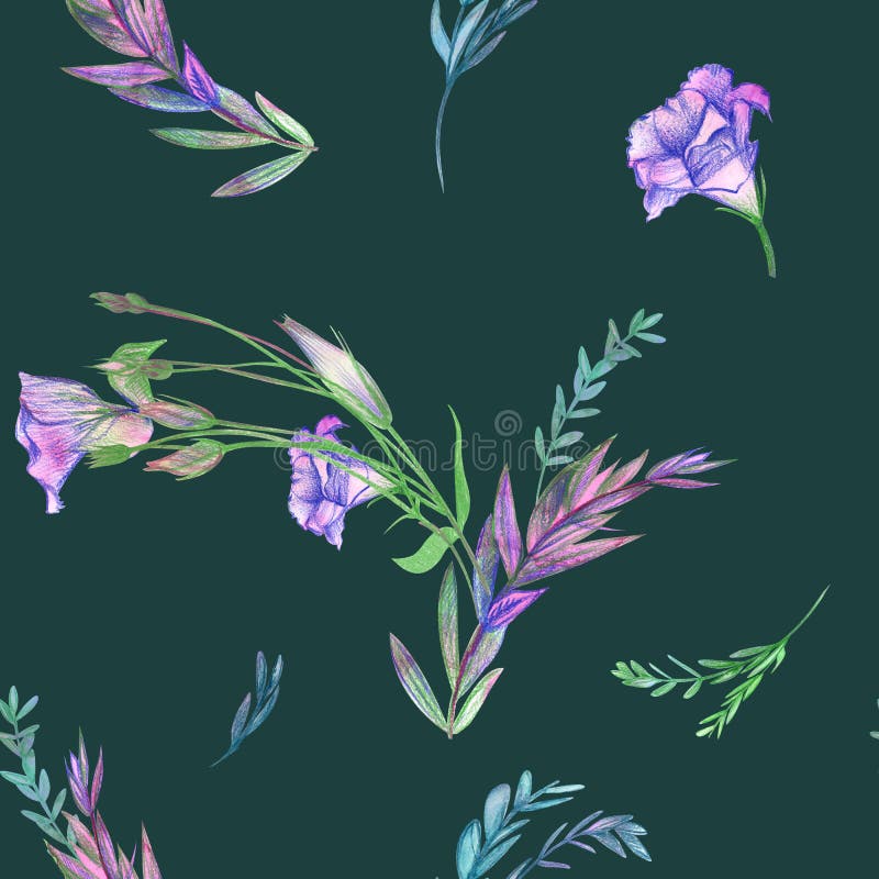 Eustoma-Blumen mit Aquarellen und Stiften auf dunkelgrünem Hintergrund. Aquarellfarbenes, nahtloses Muster mit Eustoma-Blumen, die mit Aquarellfarben und Stiften auf dunkelgrünem Hintergrund gemalt wurden. Hintergrund für Bekleidungstextilien für Frauen und Oberflächengestaltung