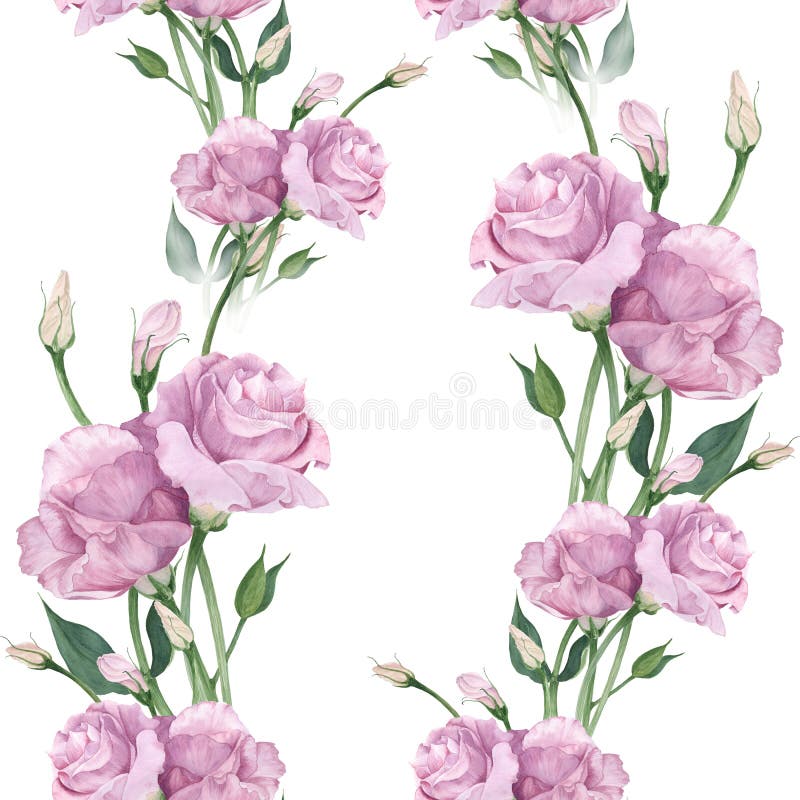 Eustoma - Blumen und Knospen Collage von Blumen, von Blättern und von Knospen stock abbildung