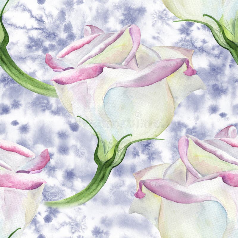 Eustoma - Blumen watercolor Dekorative Zusammensetzung auf Aquarellhintergrund Nahtlose Hintergrundgraphik stock abbildung