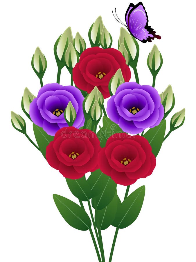 Eustoma blüht mit einem Schmetterling auf weißem Hintergrund. vektor abbildung