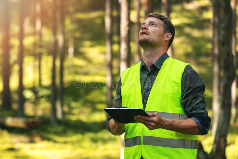 Evaluación forestal y gestión de bosques ingeniero forestal que trabaja con tableta digital imagen de archivo libre de regalías
