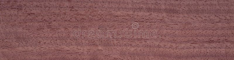 Evaporated lime veneer with a fine, even grain and soft beige color stock image
