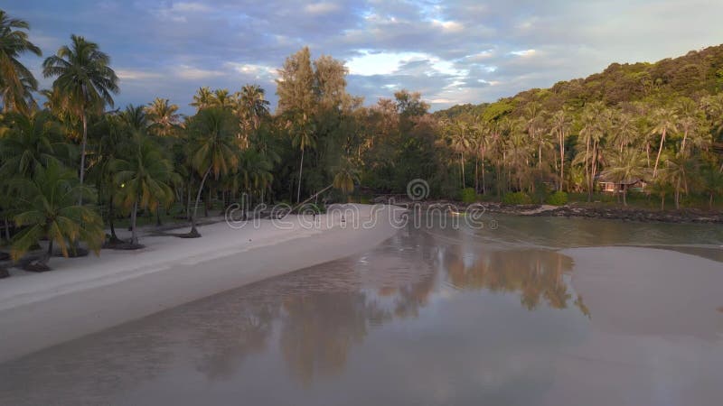 Evening atmosphere low sun at palm beach. Lovely aerial top view flight drone