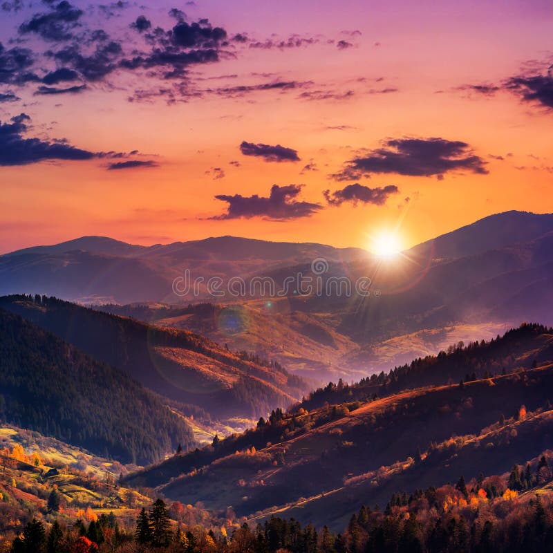 Evening autumn hillside with red and yellow forest