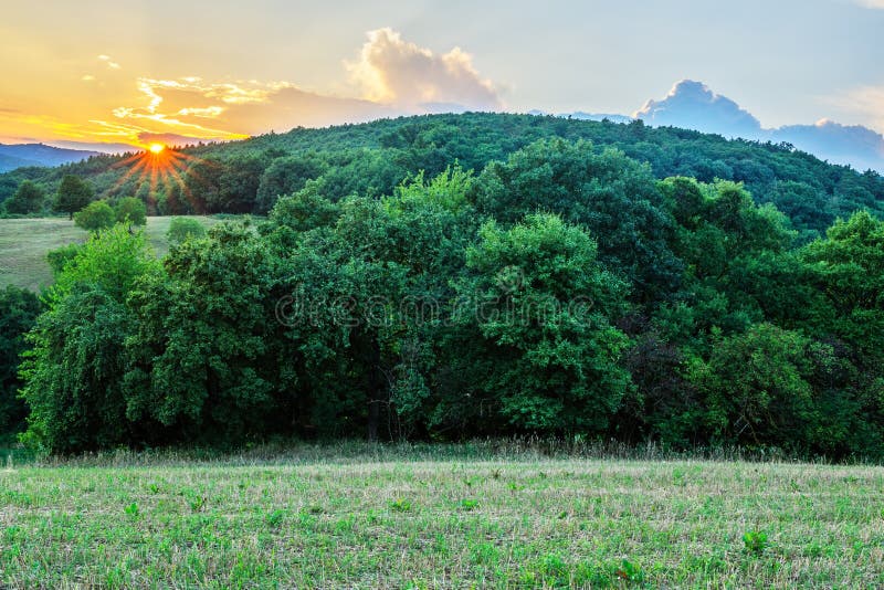 Sunset over the forest, summer rural landscape. Hrabovka, Slovakia