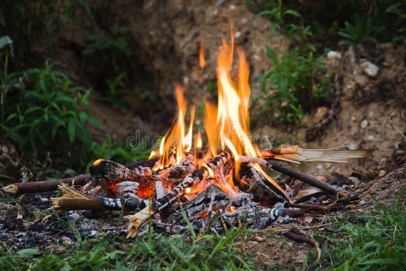 Evening camping bonfire