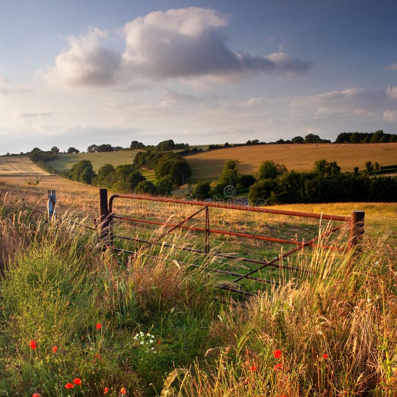 Evening on Cranborne Chase, Dorset, UK royalty free stock images
