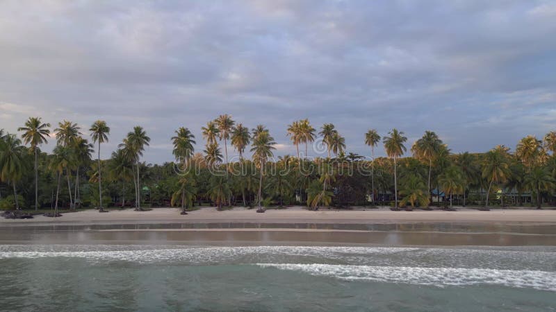 Palm garden on sandy beach shallow waves. Magic aerial top view flight drone