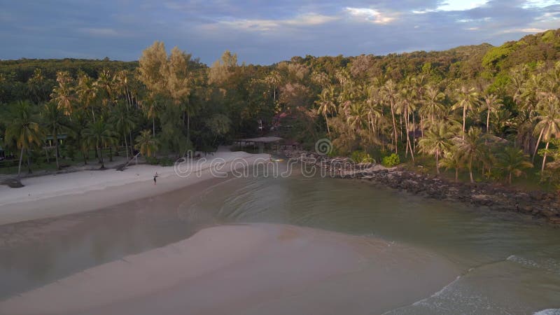 Peed ramp evening palm Beach hill jungle. Majestic aerial top view flight drone