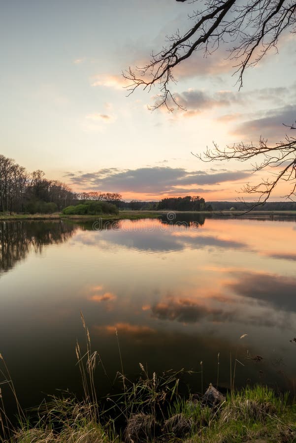 Evening Landscape Over the Pond with Reed and Grass Stock Image - Image ...