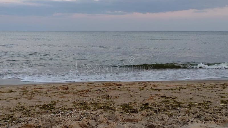 Evening landscape, a wave runs on the sandy shore of the sea, mobile video stock video footage