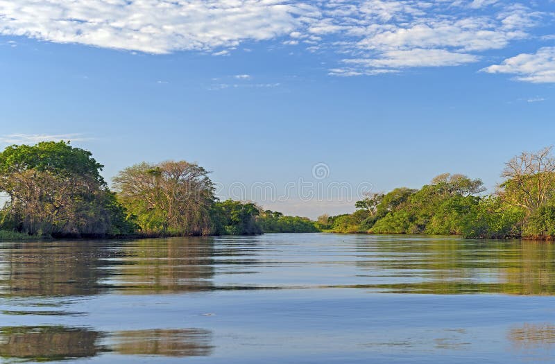 Evening Light in the Pantanal