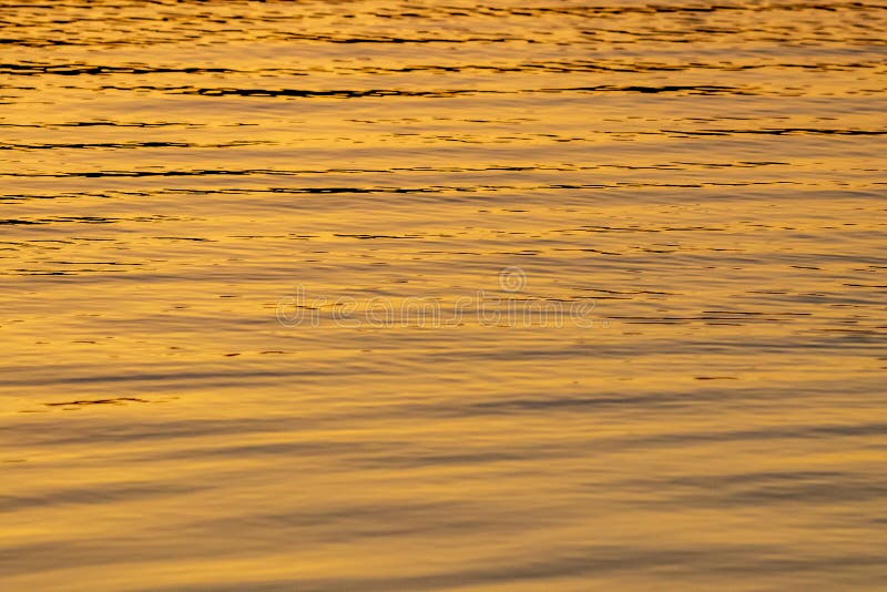 192,275 Liquid Gold Stock Photos - Free & Royalty-Free Stock Photos from  Dreamstime