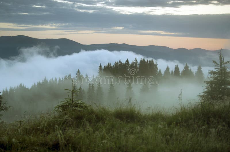 Evening mountain plateau