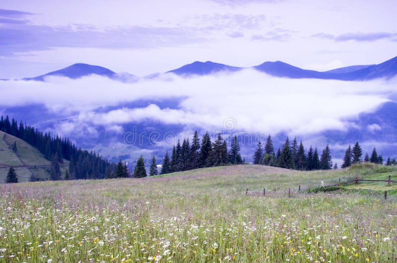 Evening mountain plateau