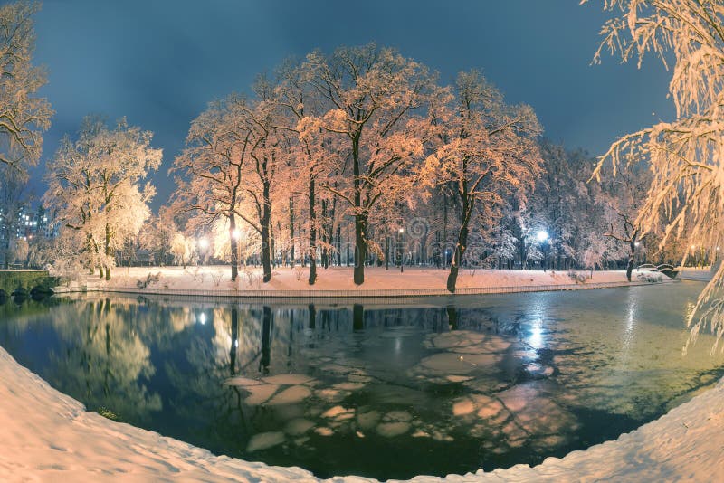 Evening park after snowfall