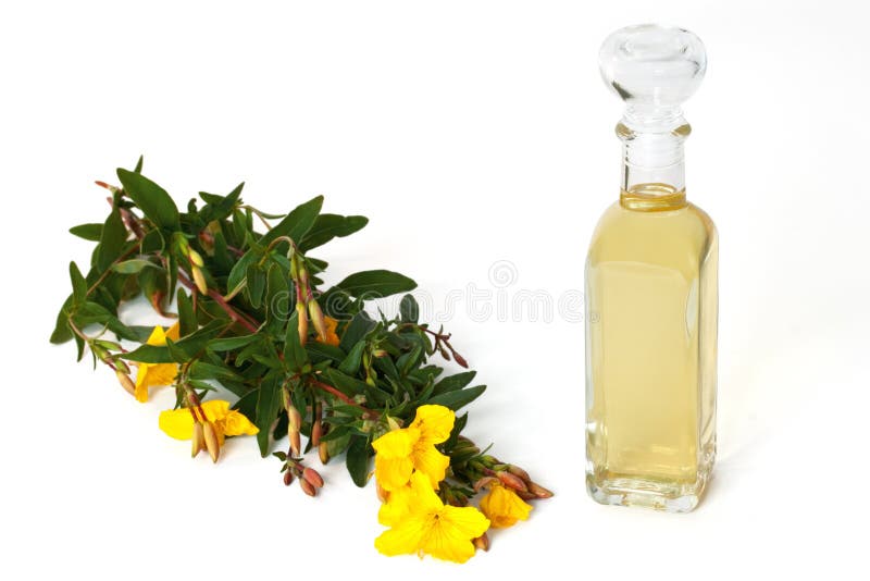 Evening primrose with oil bottle