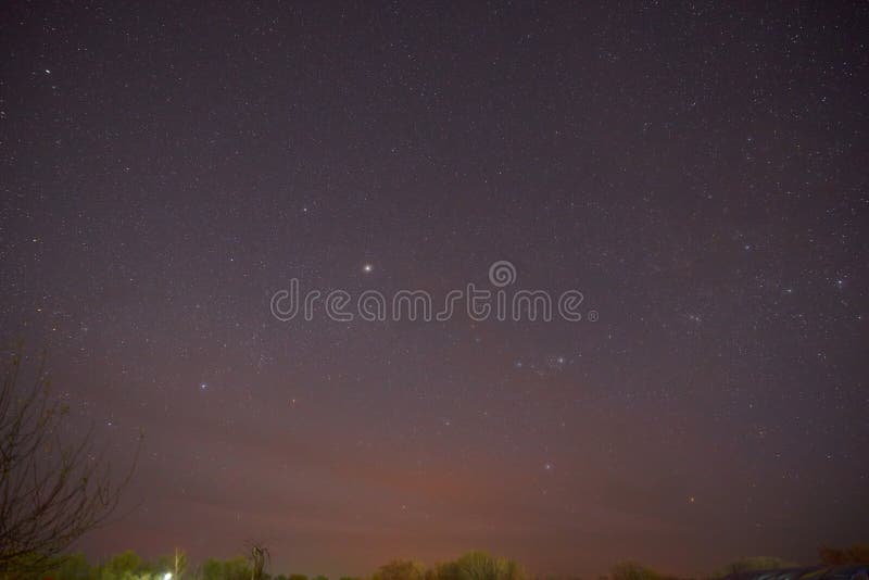 Evening shining starry sky, blue space background with stars. Purple dark sky with many stars above field of trees royalty free stock photos Evening shining starry sky, blue space background with stars. Purple dark sky with many stars above field of trees royalty free stock photos