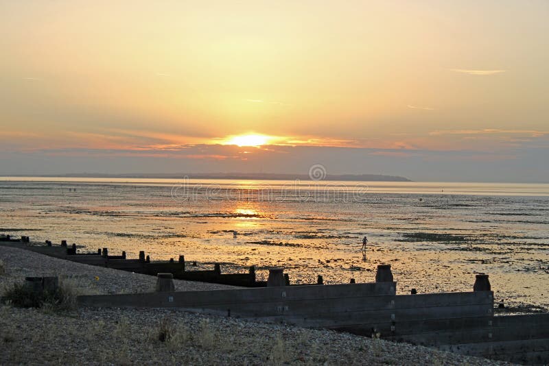 Evening Sun On The Mud Flats