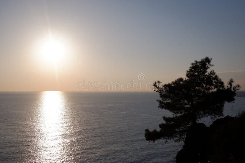 evening sunset on the Mediterranean sea, white the sun, blue sea blue sky, lonely tree pine, atmospheric mood royalty free stock images evening sunset on the Mediterranean sea, white the sun, blue sea blue sky, lonely tree pine, atmospheric mood royalty free stock images
