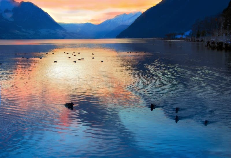 Evening on swiss lake, Switzerland