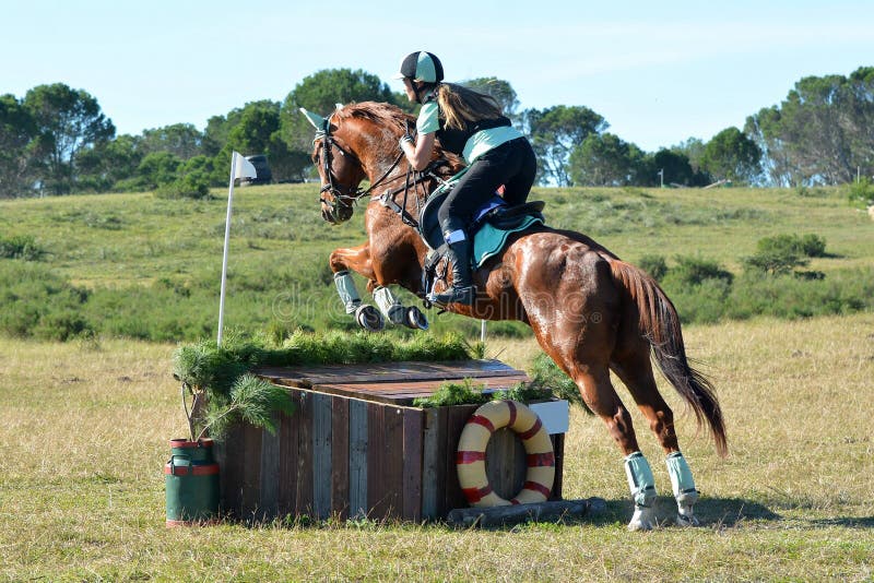 Eventing drużyna na przez cały kraj śladzie obrazy stock Eventing drużyna na przez cały kraj śladzie obrazy stock