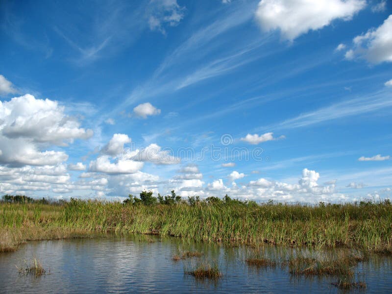 Everglades in Florida