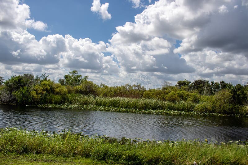 everglades η αντανάκλαση της Φλώριδας εμφάνισε τα έλη ότι ουρανού που λήφθηκαν ύδωρ ήταν που στοκ εικόνες everglades η αντανάκλαση της Φλώριδας εμφάνισε τα έλη ότι ουρανού που λήφθηκαν ύδωρ ήταν που στοκ εικόνες