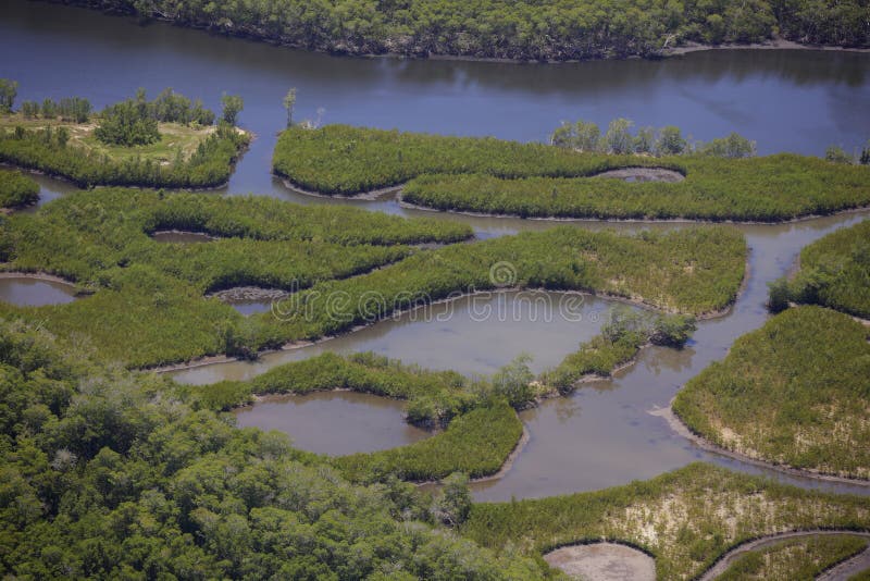everglades Φλώριδα στοκ εικόνα με δικαίωμα ελεύθερης χρήσης everglades Φλώριδα στοκ εικόνα με δικαίωμα ελεύθερης χρήσης