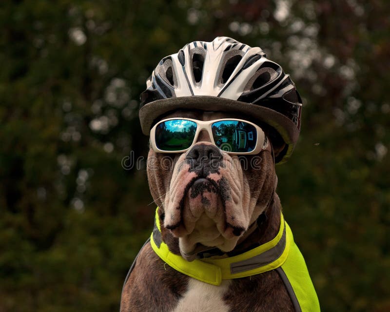 Inglese antico è un protetto operazione occhiali da sole girare casco un rispecchiamento veste 