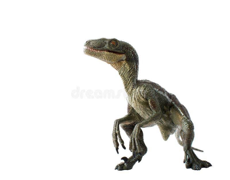 dinosaurs velociraptor