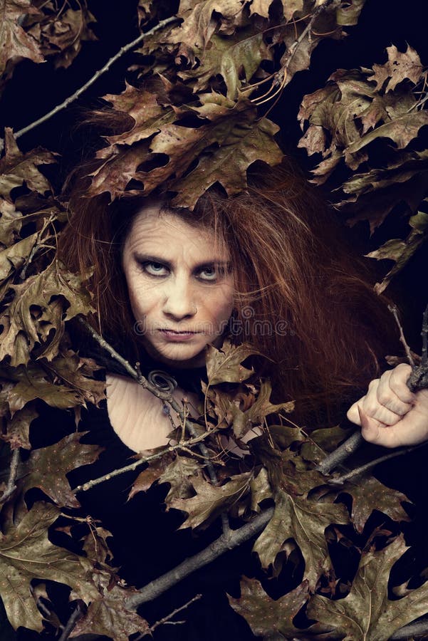 Evil witch with leaves and tree branches royalty free stock image Evil witch with leaves and tree branches royalty free stock image