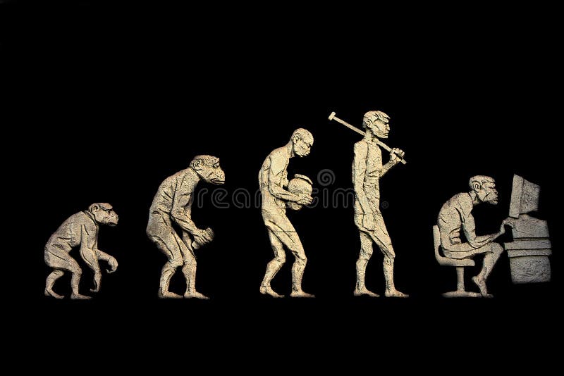 The process of human evolution. The process of human evolution