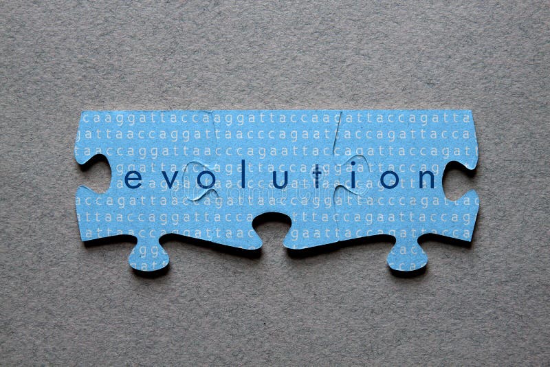 Evolution Jigsaw Matched