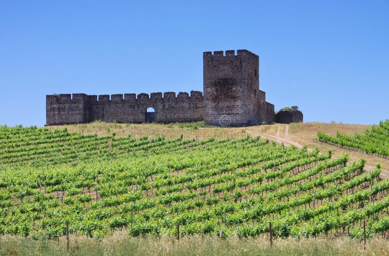 Evora Castelo de Valongo stockfotos Evora Castelo de Valongo stockfotos