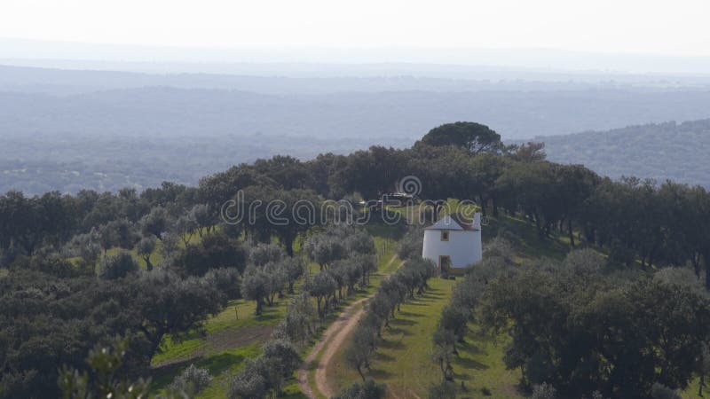Evoramonte-landskapet visar olivträd med vackra vita hus i alentejo i Portugal