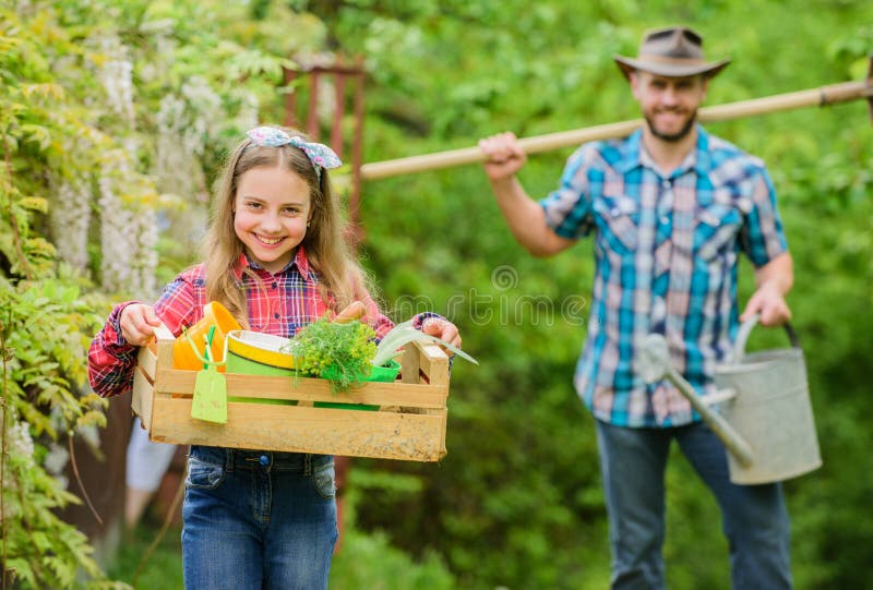 Examine su jard?n diario para manchar problema del insecto temprano Pap? de la familia y ni?a de la hija que planta las plantas D imagenes de archivo Examine su jard?n diario para manchar problema del insecto temprano Pap? de la familia y ni?a de la hija que planta las plantas D imagenes de archivo